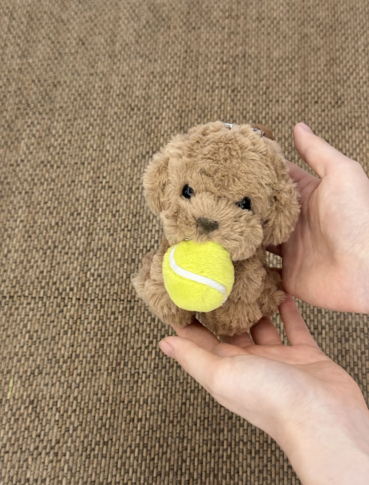 Tennis-themed plush dog accessory held to show product scale